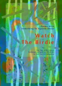 book cover of Watch The Birdie
