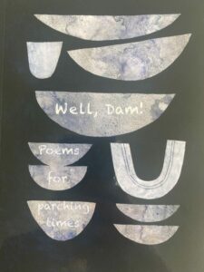 book cover of Well Dam